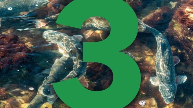 3 DNI DO GLAVNE OBRAVNAVE SODIŠČA V ZADEVI HE MOKRICE