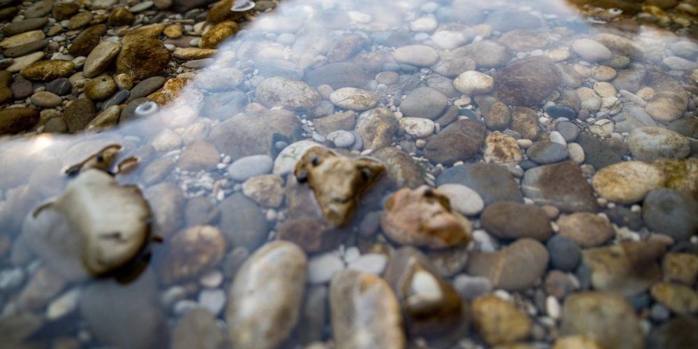 ZBIRAMO 40.000 PODPISOV V PODPORO REFERENDUMU ZA PITNO VODO