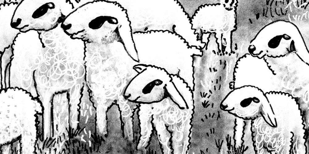 AKTUALNO DOGAJANJE V KAMPANJI REK NE DAMO!