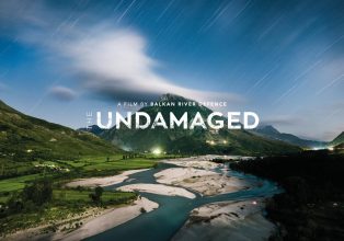 The Undamaged