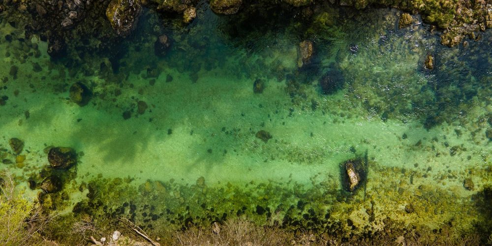 NEWSLETTER IN ENGLISH