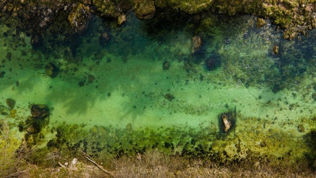 NEWSLETTER IN ENGLISH