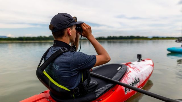 BIRD SURVEY OF THE SAVA RIVER