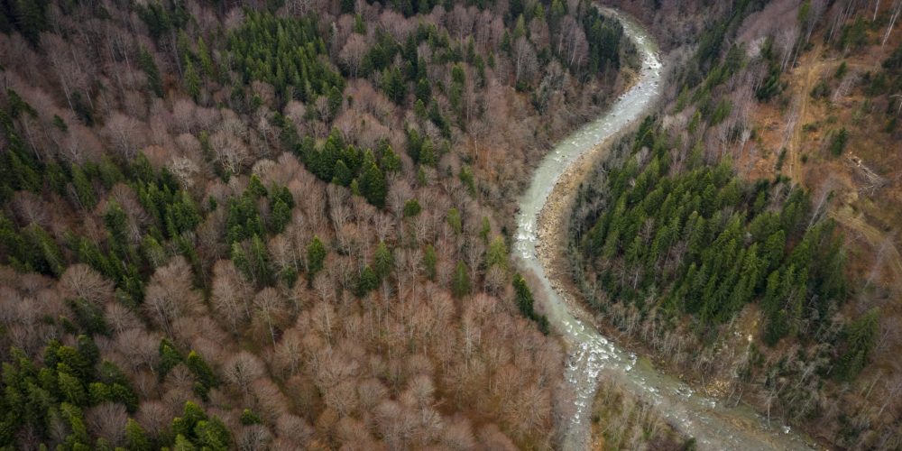 THE FUTURE LOOKS BRIGHT FOR ROMANIA’S BASCA MARE RIVER