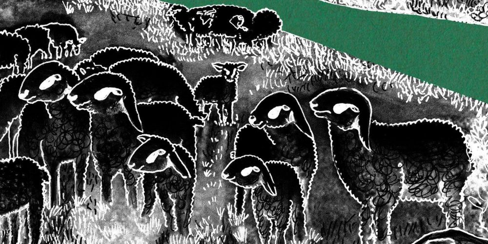 CALL FOR ACTION: A FLOOD OF EMAILS TO THE MEMBERS OF SLOVENIAN NATIONAL COUNCIL