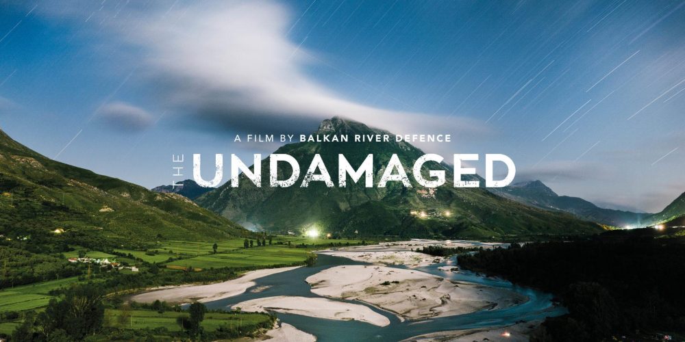 The Undamaged