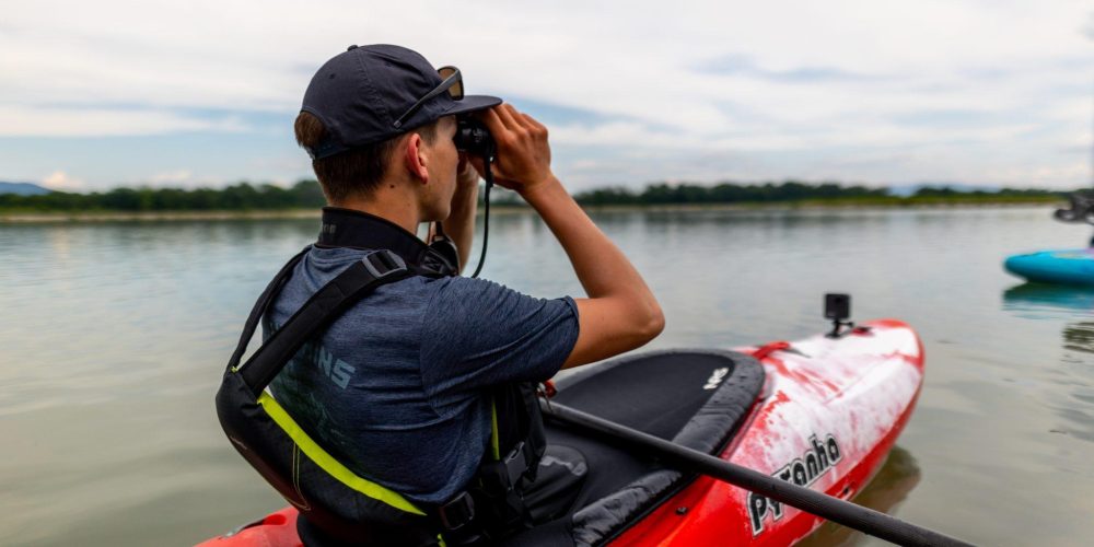 BIRD SURVEY OF THE SAVA RIVER