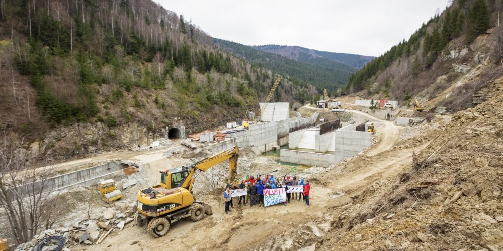 BATTLE TO KEEP BÂSCA MARE WILD CONTINUES