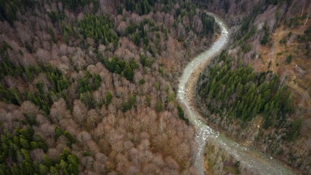 THE FUTURE LOOKS BRIGHT FOR ROMANIA’S BASCA MARE RIVER