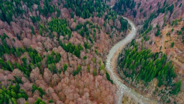 ROMUNSKA REKA BASCA MARE JE REŠENA!