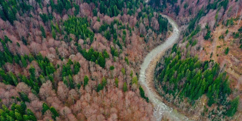 ROMANIAN BASCA MARE RIVER IS SAVED!