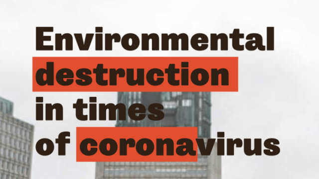 ENVIRONMENTAL DESTRUCTION IN TIMES OF CORONAVIRUS: A NEW STUDY