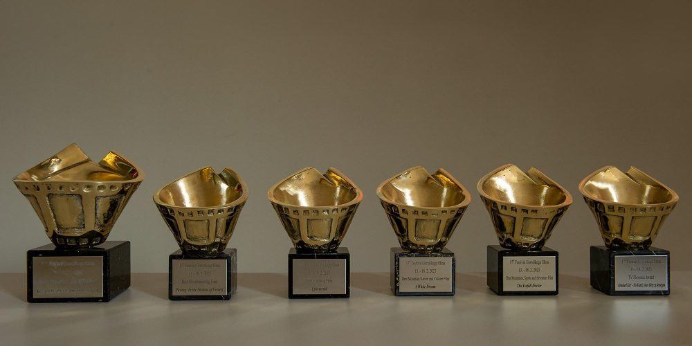 THE SAVA STORY RECIEVES GRAND PRIX AT 17th FGF