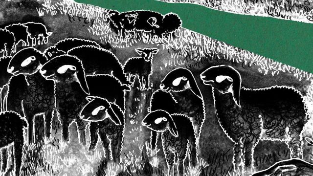 CALL FOR ACTION: A FLOOD OF EMAILS TO THE MEMBERS OF SLOVENIAN NATIONAL COUNCIL